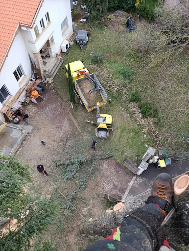 Acrobate Elagage, Loire 42 Rive-de-Gier - Élagueur Abattage d'arbres Taille Débroussaillage Rabotage de Souche St-Etienne à Rive-de-Gier