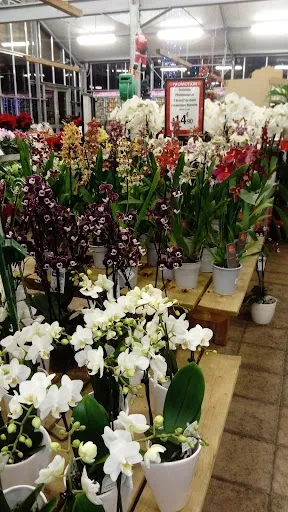 Agri Sud Est Centre à Rive-de-Gier