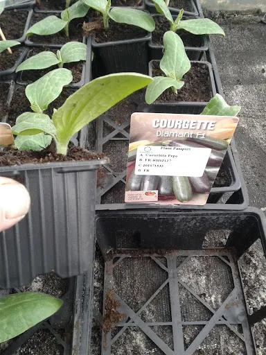 Au Bon Plant à Rive-de-Gier