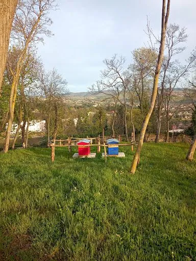 Château du Mollard Châteauneuf Loire 42800 à Rive-de-Gier