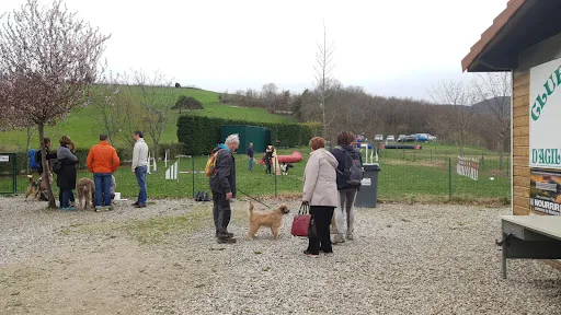 Club Canin d'Agility du Gier à Rive-de-Gier