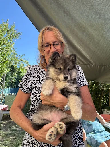 Domaine de Louchine à Rive-de-Gier