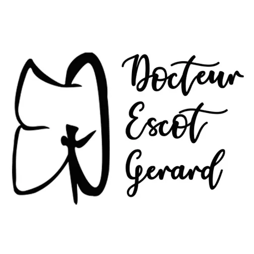 Dr Gérard ESCOT - Artiste Plasticien à Rive-de-Gier