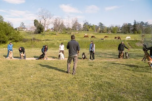 La Patte du Gier - Educateur canin comportementaliste à Rive-de-Gier