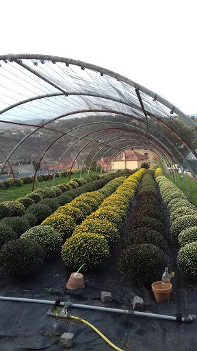 LE JARDIN D'EDEN à Rive-de-Gier